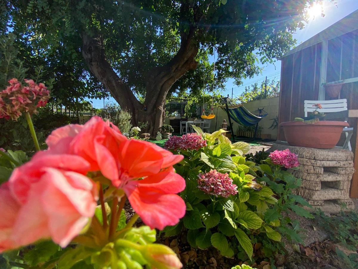 Holiday home La Casa Del Carrubo Cagliari